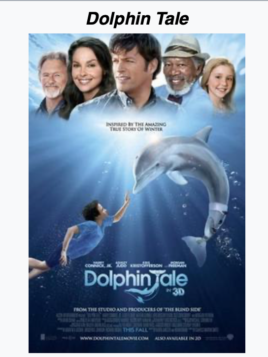 Dolphin Tale (2011)